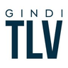 Gindi Holdings